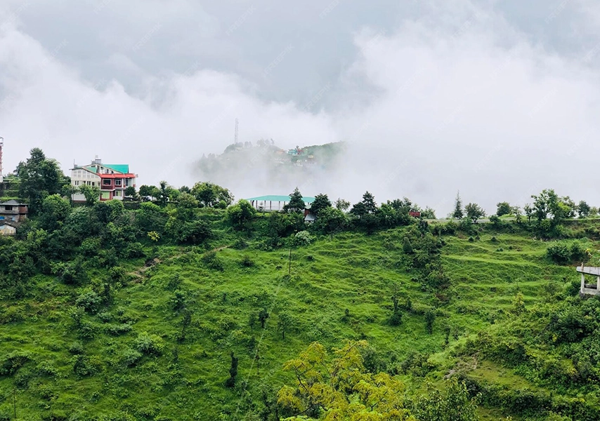Dehradun 